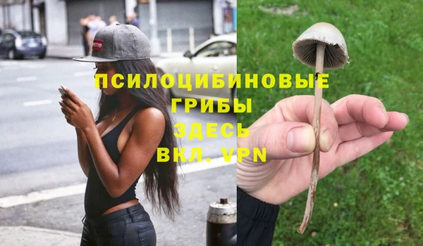круглые Аркадак
